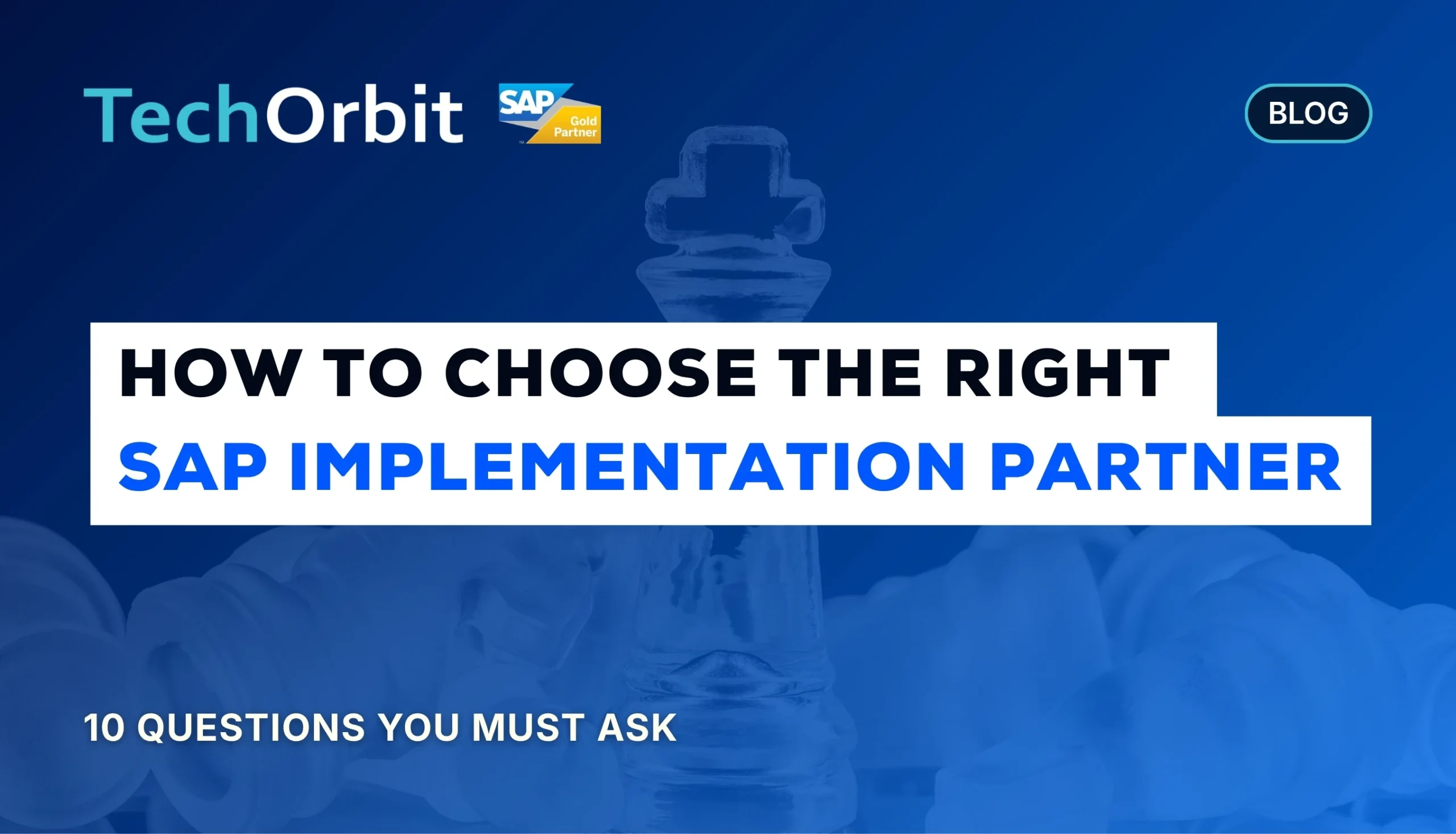 SAP Implementation Partner